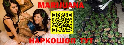 герыч Кингисепп