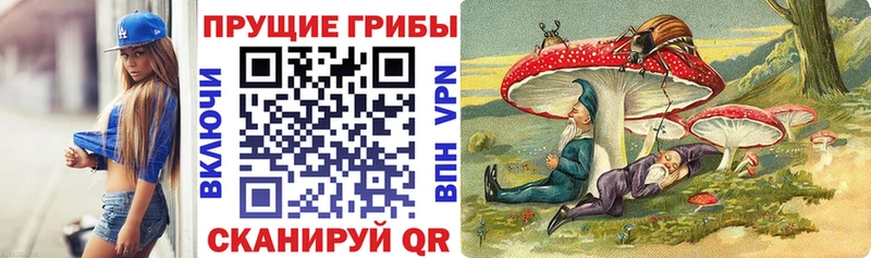 блэк спрут tor  Тавда  Галлюциногенные грибы мухоморы 