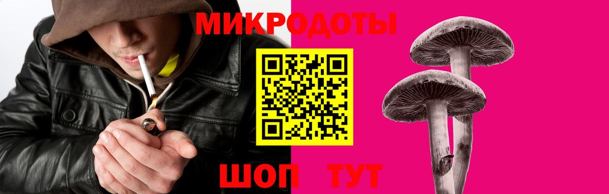 Галлюциногенные грибы мицелий  Псилоцибиновые грибы Psilocybe  Вход с VPN  Тавда 