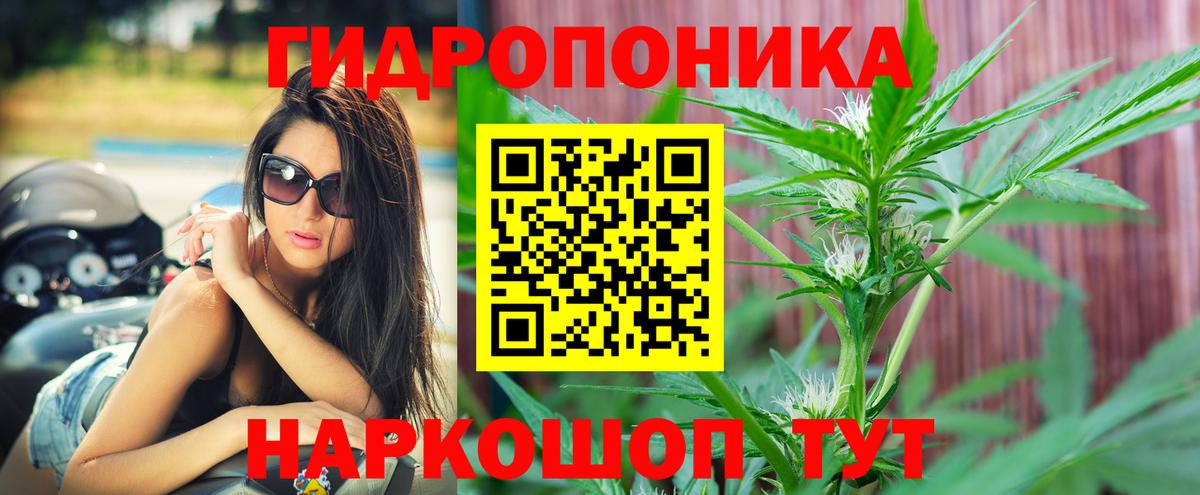 Каннабис ГИДРОПОН  Вход с VPN  Конопля AK-47  Бошки Шишки марихуана  Тавда  Канабис план 
